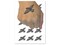 Soaring Peregrine Falcon Bird of Prey Temporary Tattoo Water Resistant Fake Body Art Set Collection (1 Sheet)